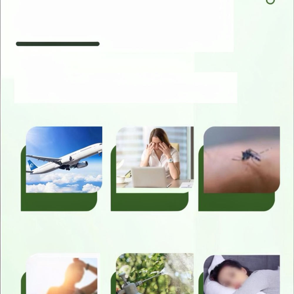 하트 모양 자동 급수 장치, 스포트라이트 패턴 점적 관 - Automatic Plant Waterer 리뷰 및 가격